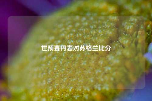 世预赛丹麦对苏格兰比分
