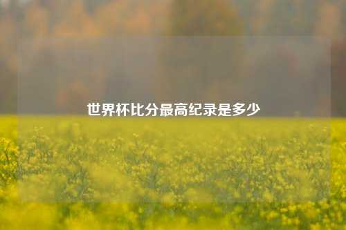 世界杯比分最高纪录是多少