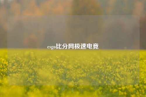 csgo比分网极速电竟