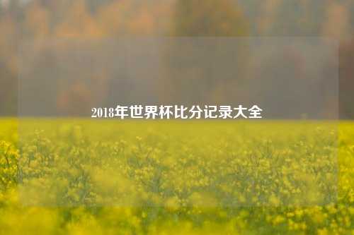 2018年世界杯比分记录大全
