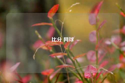 比分 网球