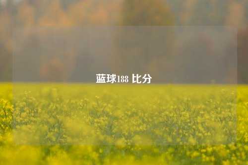 蓝球188 比分