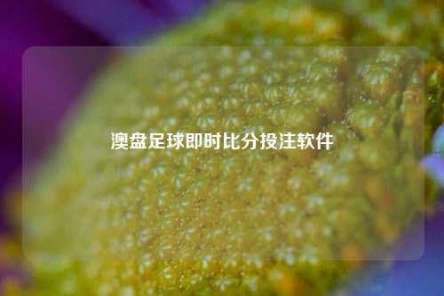 澳盘足球即时比分投注软件