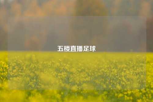 五楼直播足球