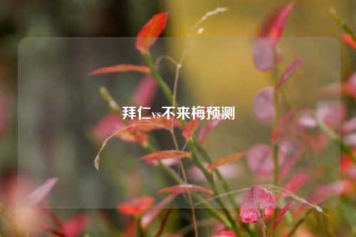 拜仁vs不来梅预测