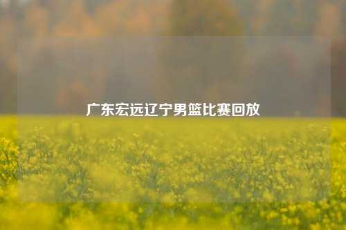 广东宏远辽宁男篮比赛回放