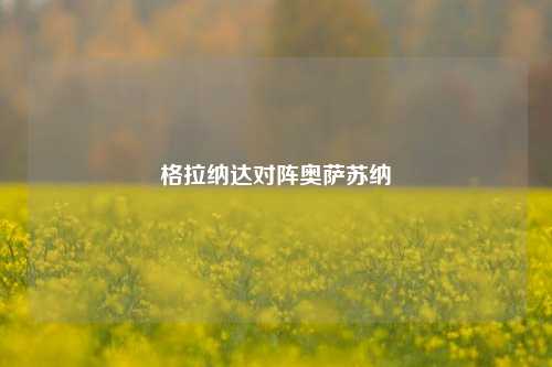 格拉纳达对阵奥萨苏纳