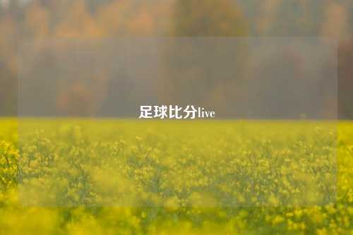 足球比分live