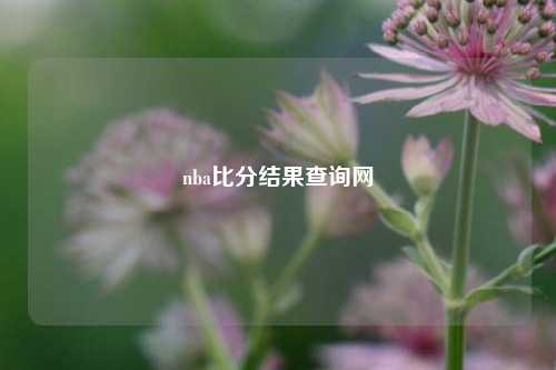 nba比分结果查询网