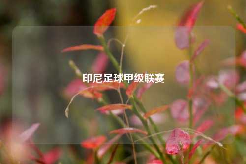 印尼足球甲级联赛