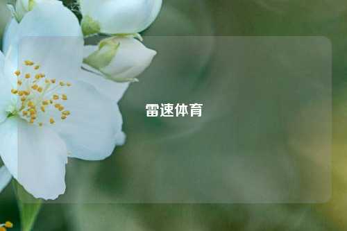 雷速体育