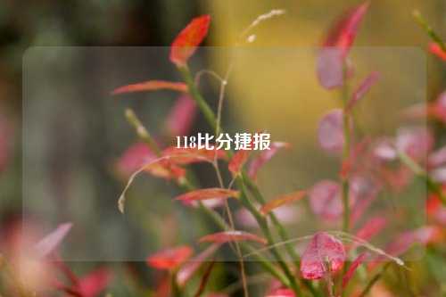 118比分捷报