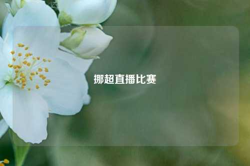 挪超直播比赛