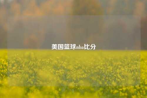 美国篮球nba比分