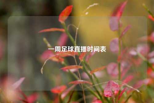 一周足球直播时间表