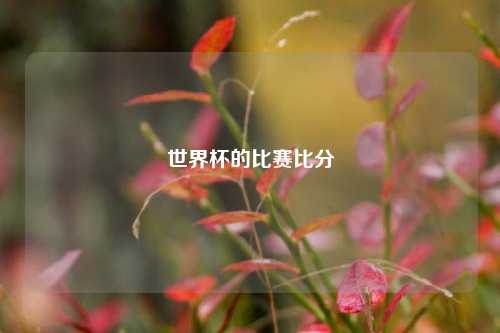 世界杯的比赛比分