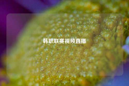 韩职联赛视频直播