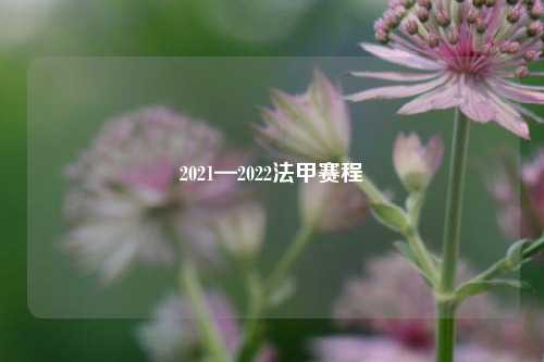 2021—2022法甲赛程