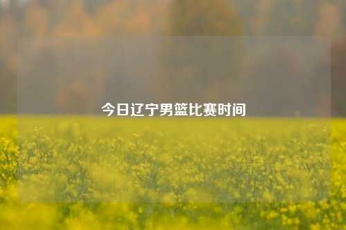 今日辽宁男篮比赛时间