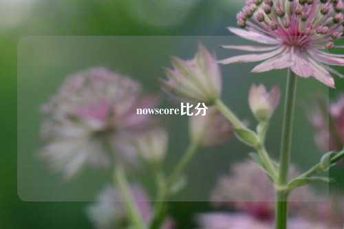 nowscore比分