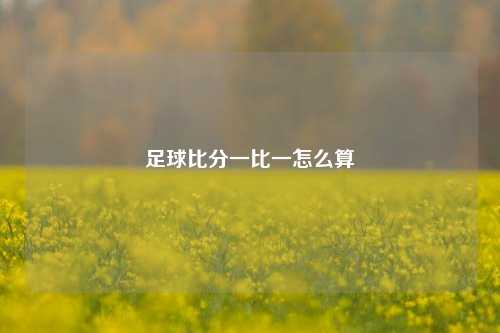 足球比分一比一怎么算