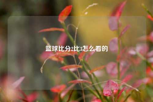 篮球比分2比3怎么看的