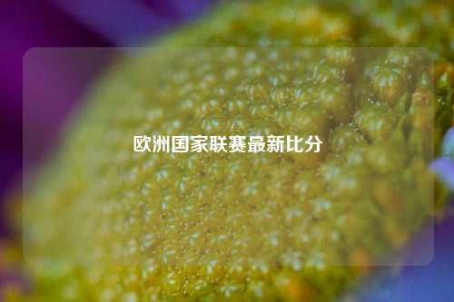 欧洲国家联赛最新比分