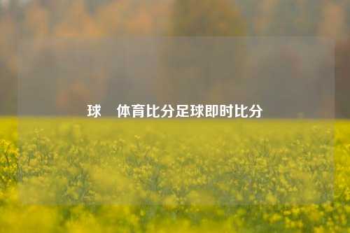 球堔体育比分足球即时比分