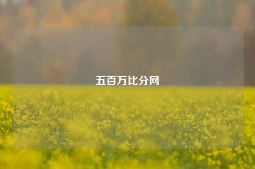 五百万比分网
