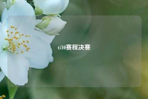 ti10赛程决赛