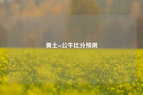 勇士vs公牛比分预测