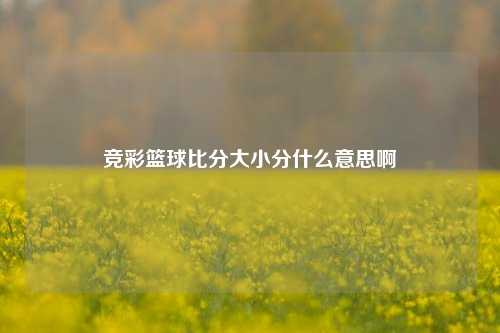 竞彩篮球比分大小分什么意思啊