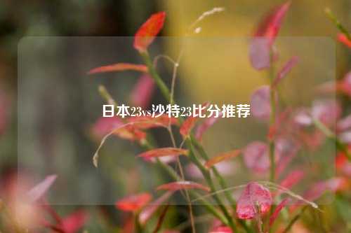 日本23vs沙特23比分推荐
