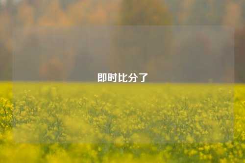 即时比分了