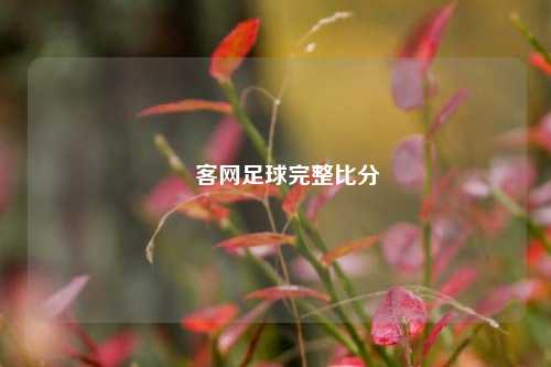 釆客网足球完整比分