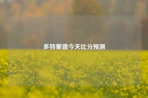 多特蒙德今天比分预测