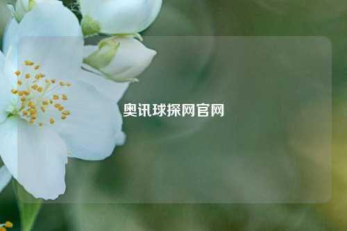 奥讯球探网官网