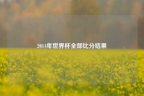 2014年世界杯全部比分结果