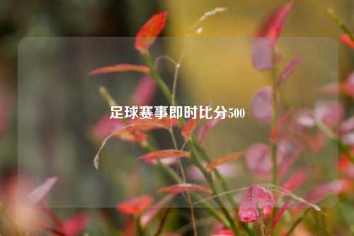 足球赛事即时比分500