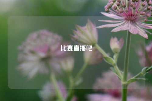 比赛直播吧