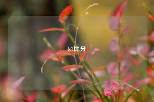k7比分