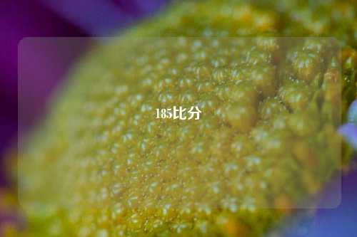 185比分