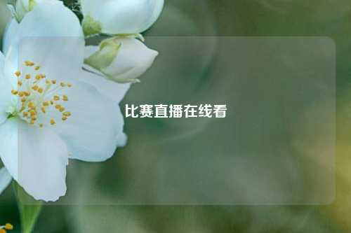 比赛直播在线看