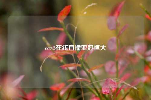 cctv5在线直播亚冠恒大
