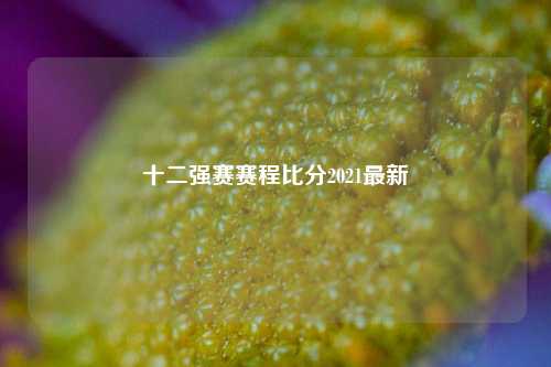 十二强赛赛程比分2021最新
