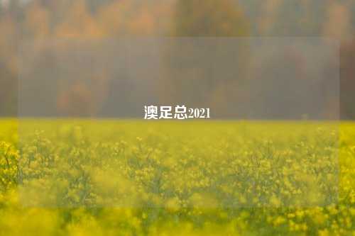澳足总2022