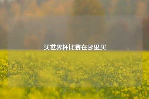 买世界杯比赛在哪里买