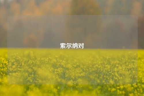 索尔纳对