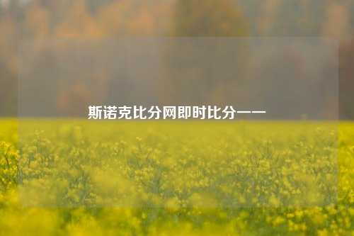 斯诺克比分网即时比分一一