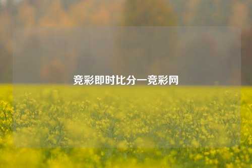 竞彩即时比分一竞彩网